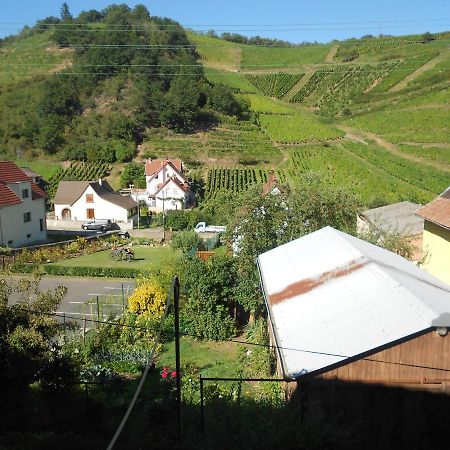 Appartamento Les Vendangeurs Niedermorschwihr Esterno foto