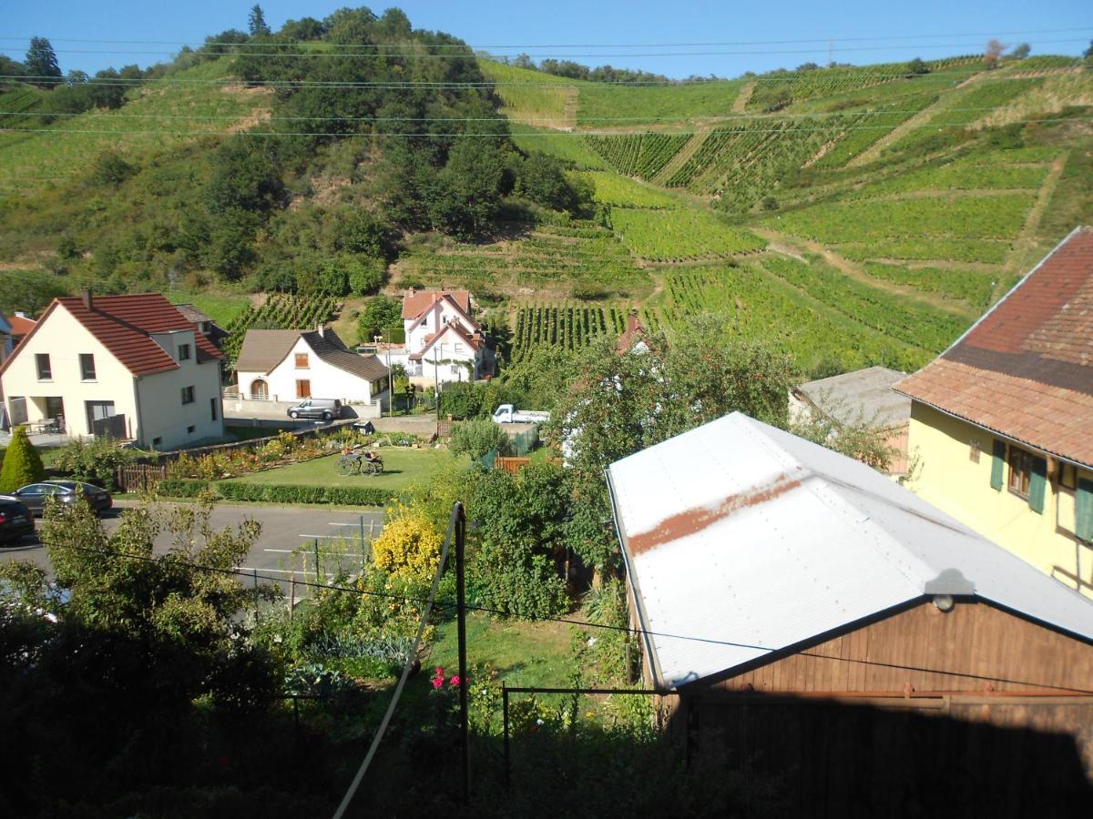 Appartamento Les Vendangeurs Niedermorschwihr Esterno foto