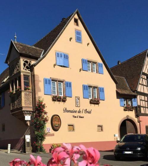 Appartamento Les Vendangeurs Niedermorschwihr Esterno foto